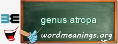 WordMeaning blackboard for genus atropa